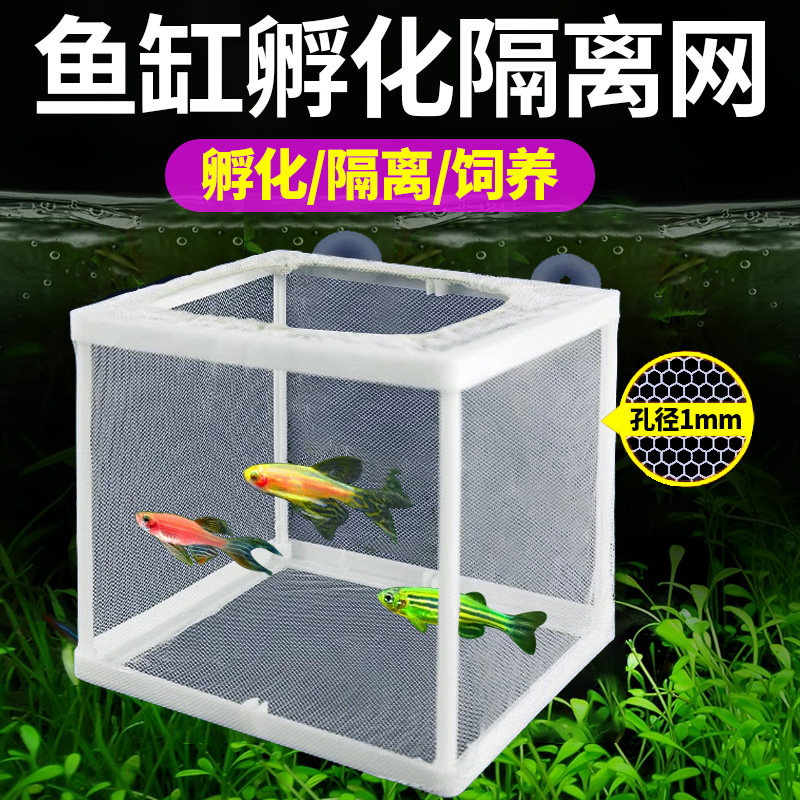 鱼缸隔离网小鱼苗分离网隔离盒图片