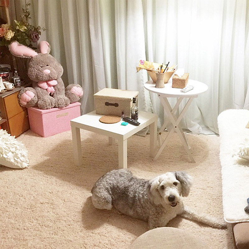 地毯卧室现代简约床边毯家用加厚定制北欧长毛客厅茶几毯沙发垫子