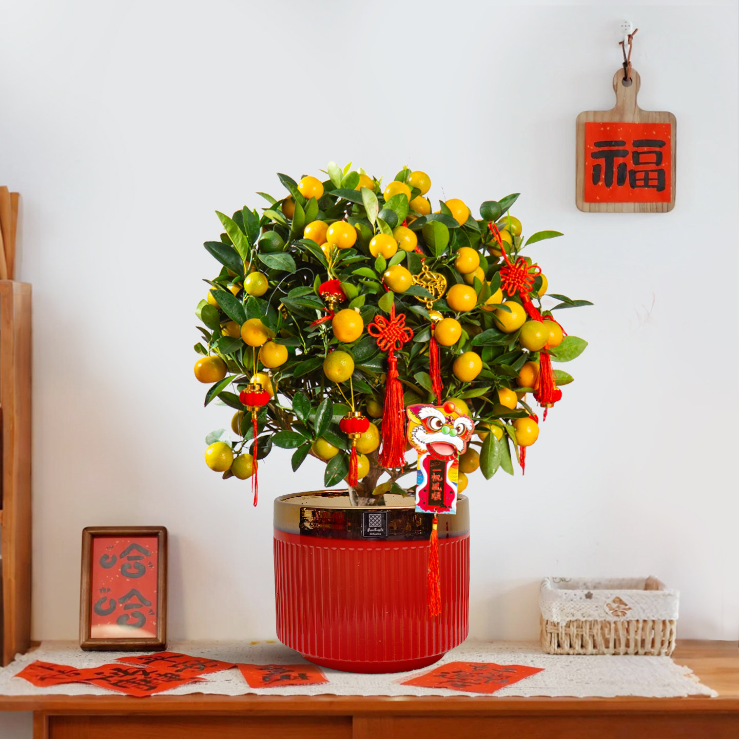 四季桔年桔带果金桔树盆栽新年客厅桌面年宵花卉招财开业送礼金橘,鲜花速递/花卉仿真/绿植园艺,大型绿植/成品组合盆栽,淘宝优惠券,粉丝福利购,淘宝优惠卷