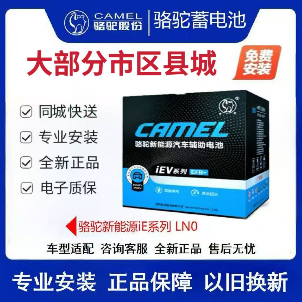 骆驼iEV新能源系列12v35AH雷凌36AH哪吒36AH奇瑞特斯拉新能源汽车