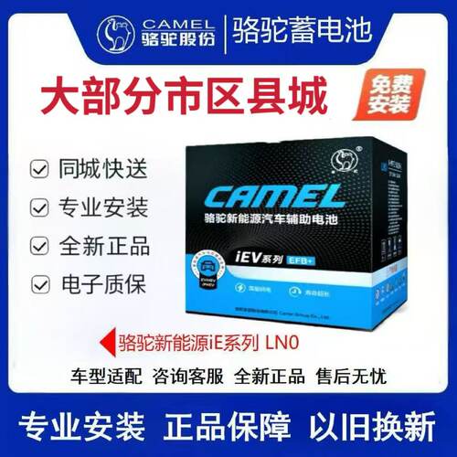 骆驼iEV新能源系列12v35AH雷凌36AH哪吒36AH奇瑞特斯拉新能源汽车