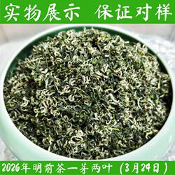 2026年新茶绿茶湖南郴州桂东玲珑茶炒青高山云雾茶口粮茶散装500g