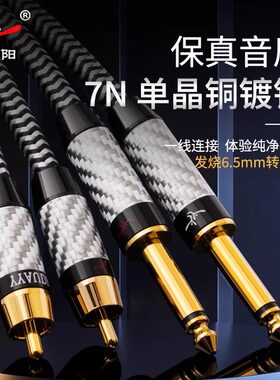 发烧级双6.5转双莲花音频线