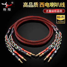 美国西电 进口喇叭线发烧音箱线专业hifi纯铜音响线香蕉头Y插针插