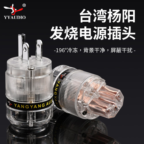 台湾杨阳发烧HIFI冷冻4N插头