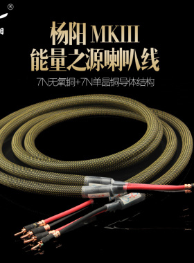 台湾杨阳能量之源Power Source SE MKⅢ 发烧喇叭线 主音箱升级线