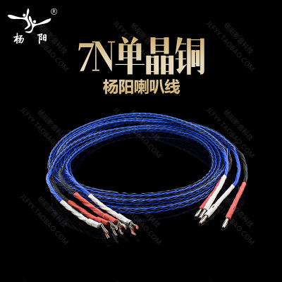 台湾杨阳单晶发烧级喇叭线hifi