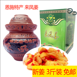 2025新姜免邮恩施来凤凤头姜仔姜1500克礼盒酉源牌硒之源土特产