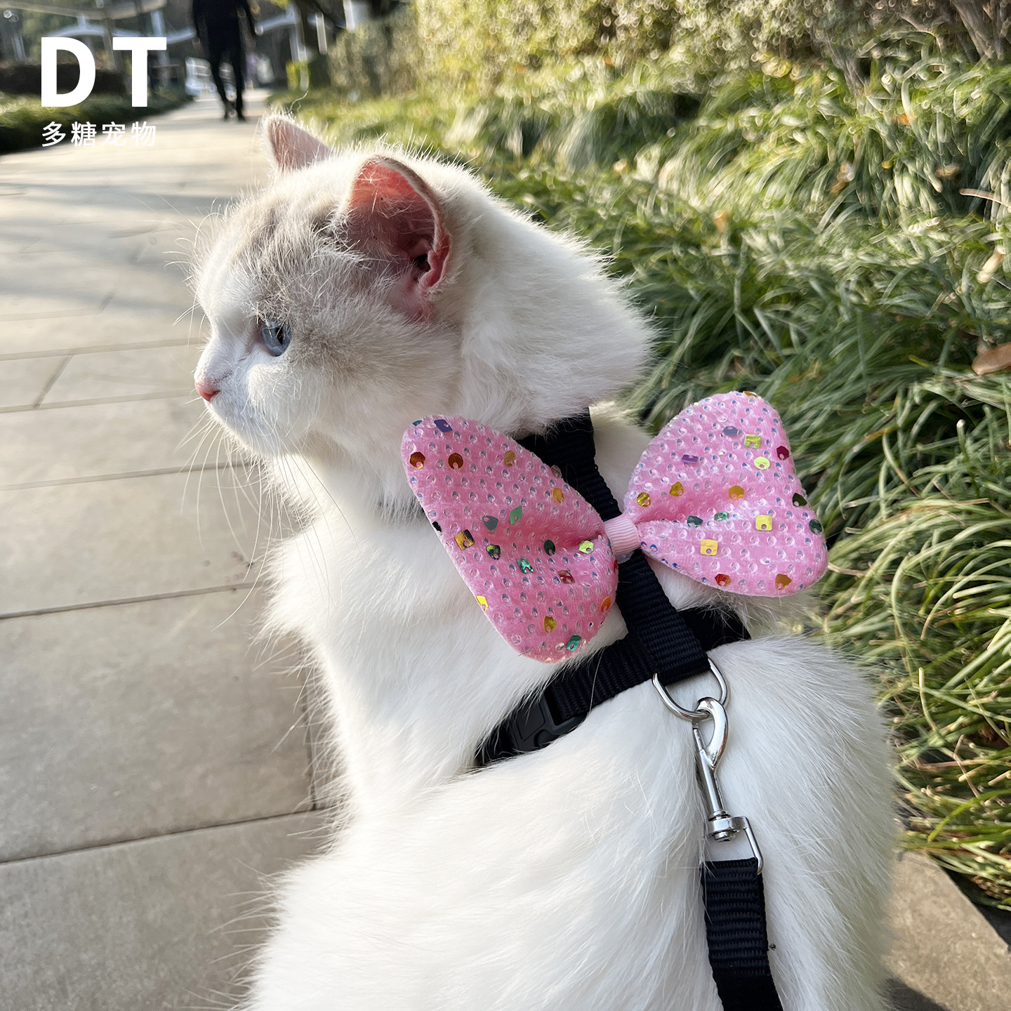 粉色亮片蝴蝶结猫咪牵引绳宠物外出专用防丢遛猫绳可爱小型犬狗绳,宠物/宠物食品及用品,猫牵引绳,淘宝优惠券,粉丝福利购,淘宝优惠卷