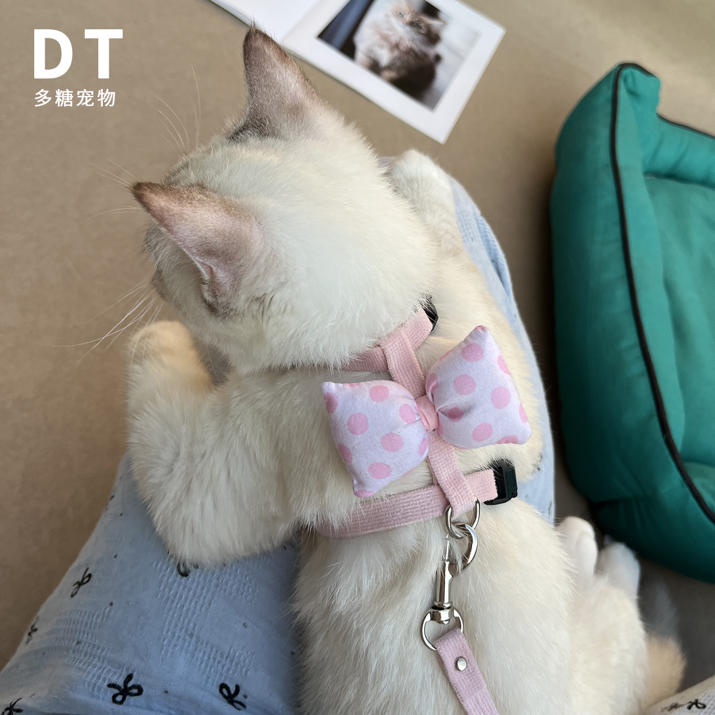 可爱宠物德文猫无毛猫牵引绳幼猫奶猫外出绳猫咪专用可调节防挣脱