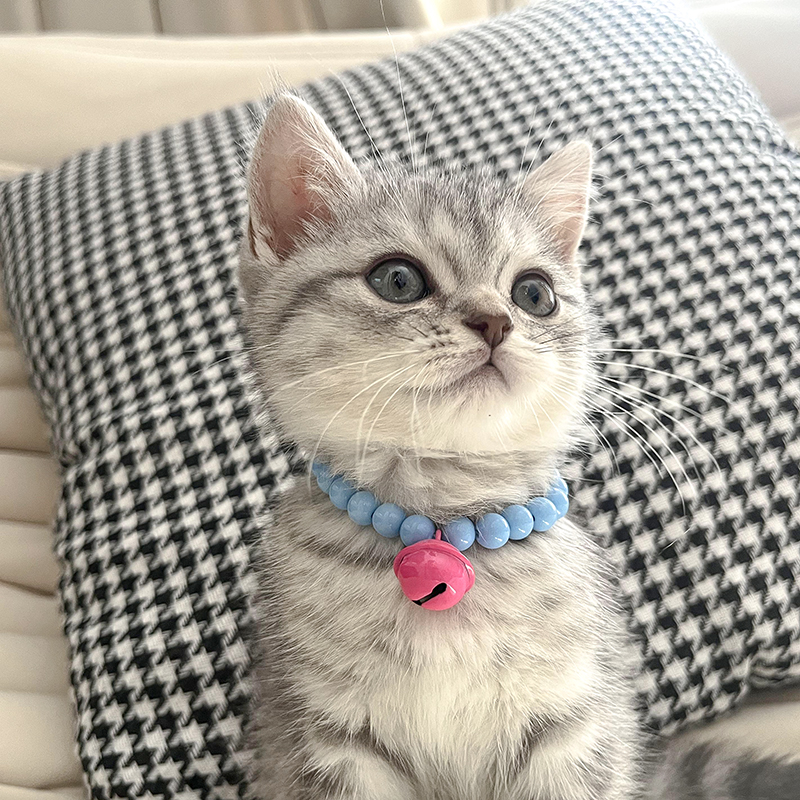 猫咪马卡龙彩色珍珠项链宠物狗狗铃铛项圈爱心蝴蝶结脖圈宠物饰品