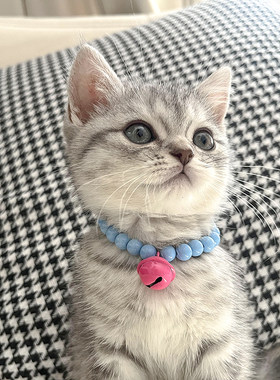 猫咪马卡龙彩色珍珠项链宠物狗狗铃铛项圈爱心蝴蝶结脖圈宠物饰品