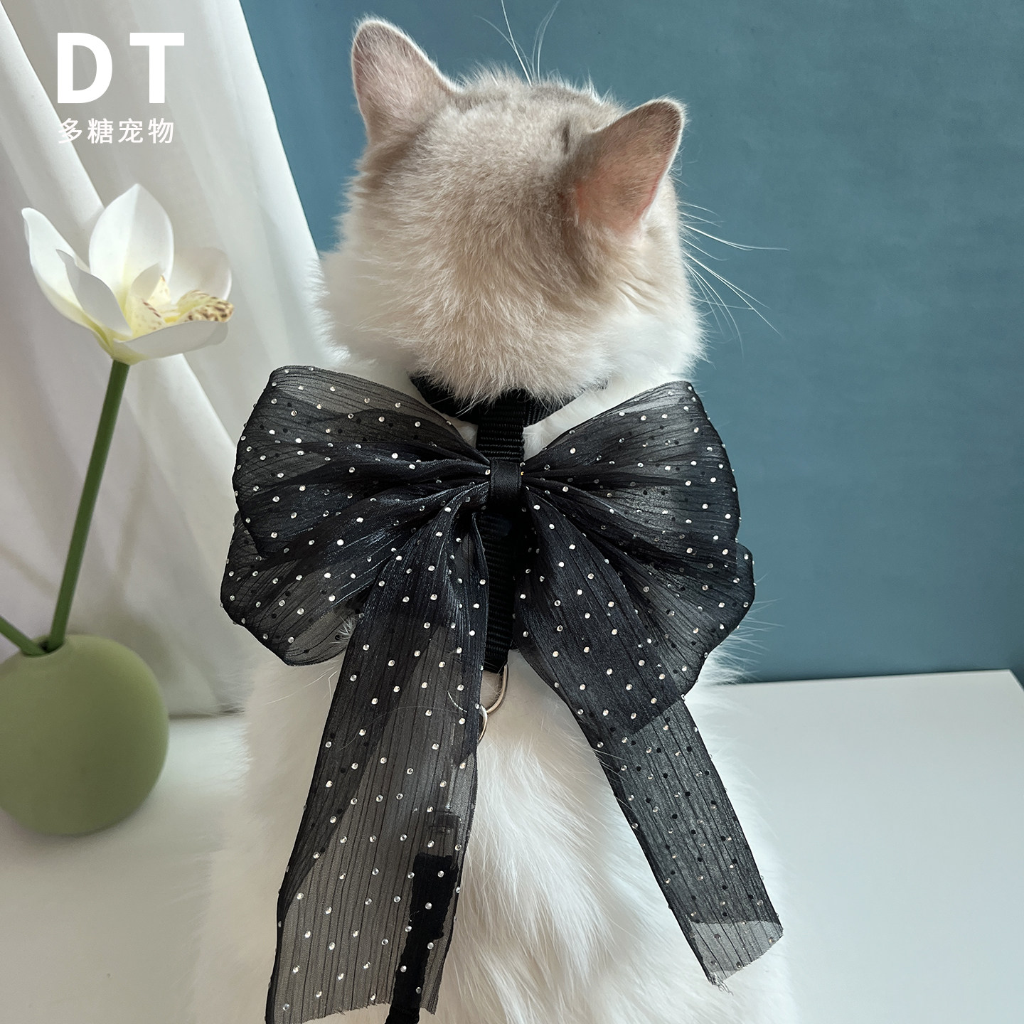 高颜值大蝴蝶结宠物防挣脱牵引绳小型犬工字型外出遛狗猫胸猫狗绳,宠物/宠物食品及用品,猫牵引绳,淘宝优惠券,粉丝福利购,淘宝优惠卷