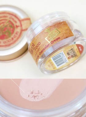 skinfood三文鱼遮瑕膏