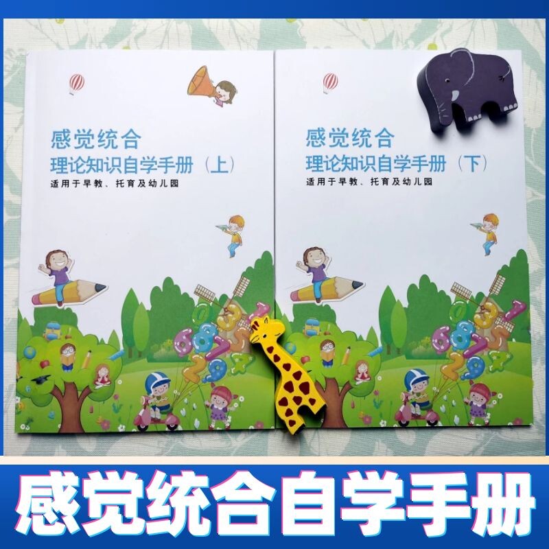 感觉统合理论感统课程早教中心托班托育教材教案资料老岳金色雨林