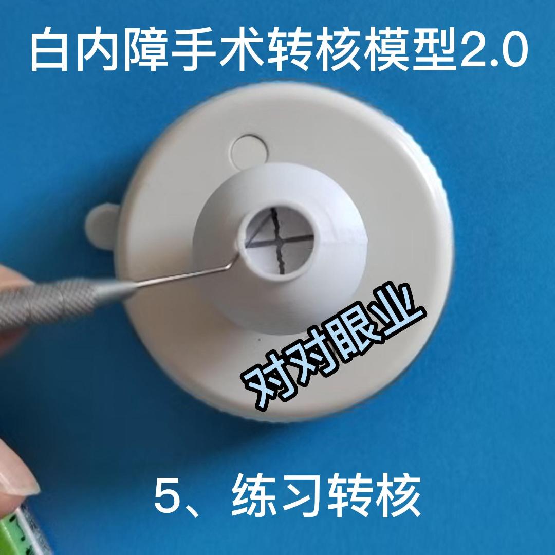 对对眼白内障转核模型2.0