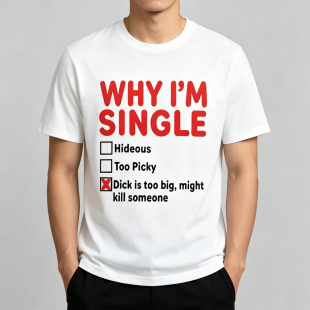 WHY IM SINGLE趣味英文短袖T恤纯棉半袖潮欧美风小众单身男上衣服