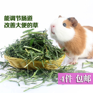 大麦草段250g兔兔牧草干草豚鼠荷兰猪龙猫饲料粮食兔子吃的草兔粮