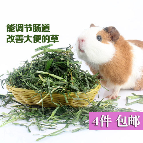 大麦草牧草干草饲料兔子兔粮