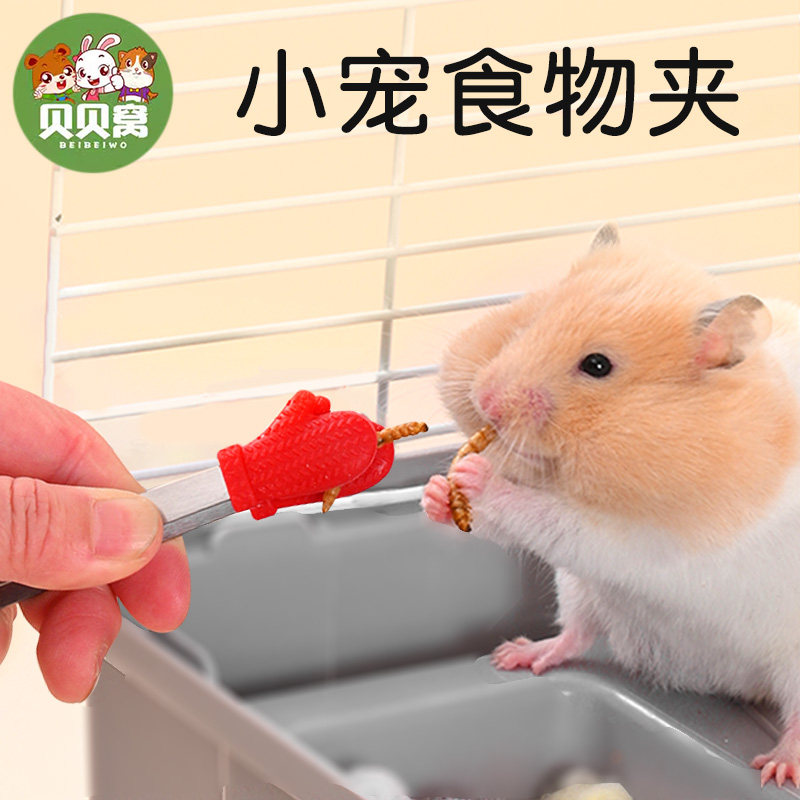 抓仓鼠喂食夹子大号投喂镊子金丝熊生活用品全套齐全解闷玩具零食,宠物/宠物食品及用品,玩具/造景装饰,淘宝优惠券,粉丝福利购,淘宝优惠卷