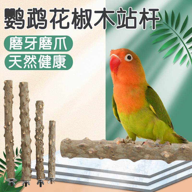 鹦鹉站杆花椒木棍八哥玄凤鸟