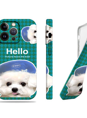 苹果17promax带帽猫咪狗狗菲林情侣手机壳适用苹果华为IQOOZ9XP60ARTVIVOY300PROOPPORENO13PROFINDX8至尊