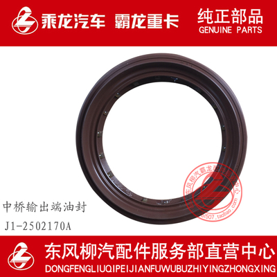 153中桥输出端油封J1-2502170A