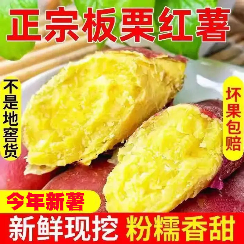 新鲜黄心正宗蜜薯超甜糖心红心番薯地瓜板栗红薯沙地农家现挖批发