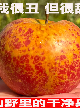 2025正宗云南昭通糖心丑苹果新鲜水果现摘当季整箱富士非大凉山