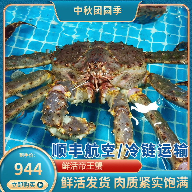 帝王蟹鲜活10斤特大螃蟹顺丰包邮