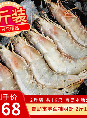 海捕斑节虾黑虎虾草虾鬼虾花虾青岛大对虾8头鲜活冷冻海虾九节虾