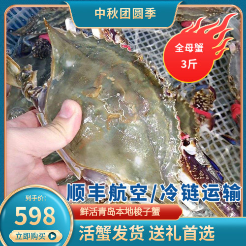 梭子蟹青岛海鲜大公鲜活4斤