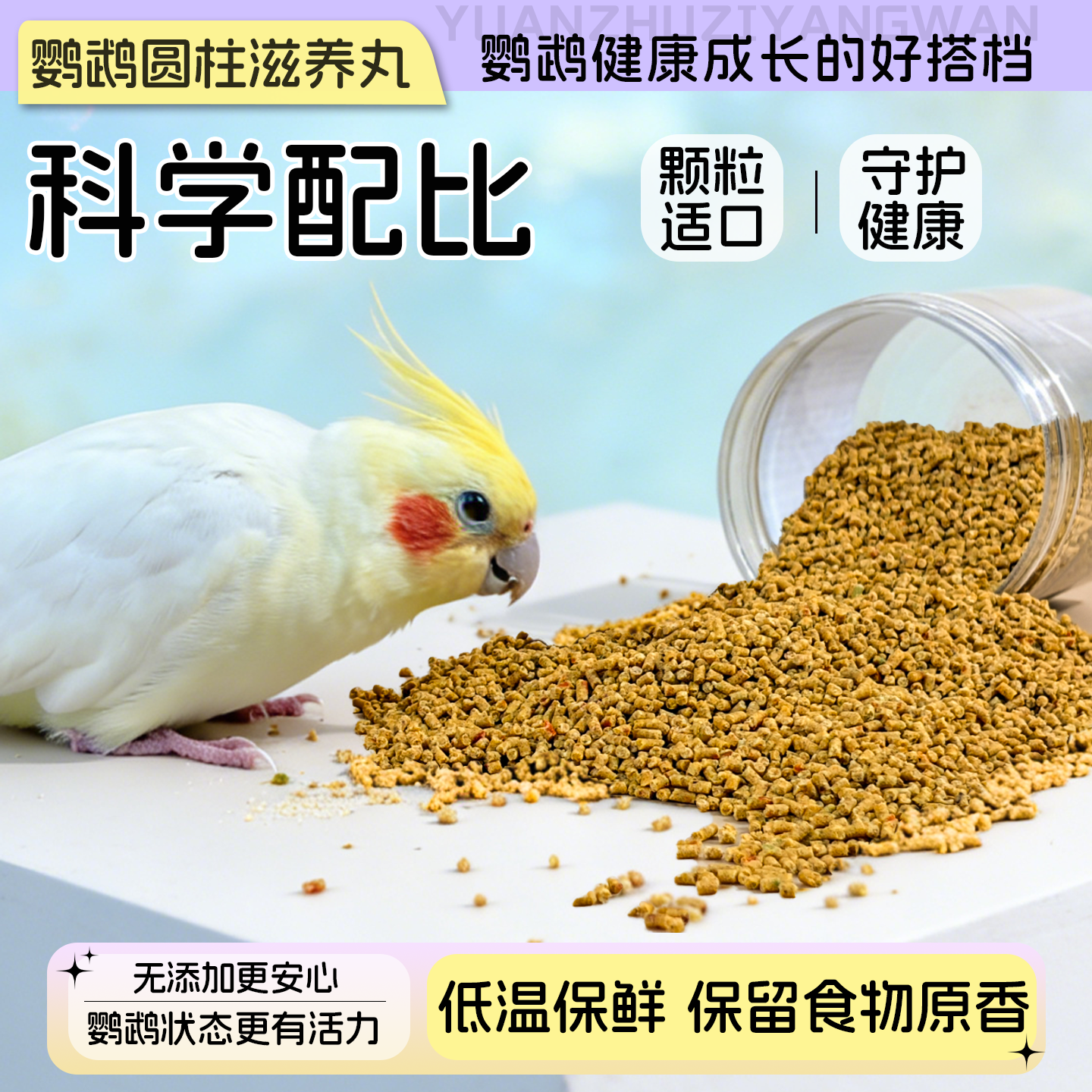 鹦鹉圆柱滋养丸虎皮玄凤牡丹小太阳高营养高适口训练奖励鸟零食,宠物/宠物食品及用品,鸟食,淘宝优惠券,粉丝福利购,淘宝优惠卷
