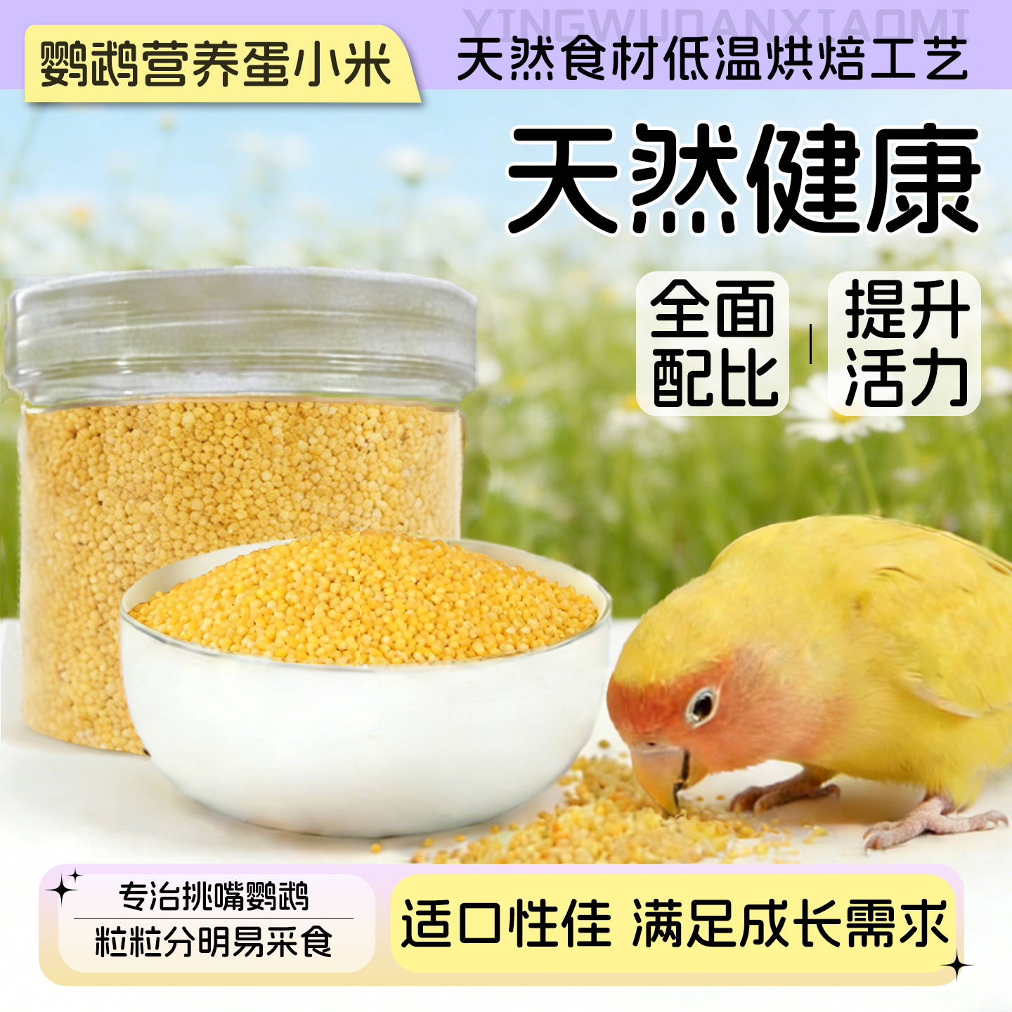 鹦鹉高营养蛋小米虎皮玄凤牡丹小太阳专用鸟食无添加奖励鸟零食,宠物/宠物食品及用品,鸟食,淘宝优惠券,粉丝福利购,淘宝优惠卷