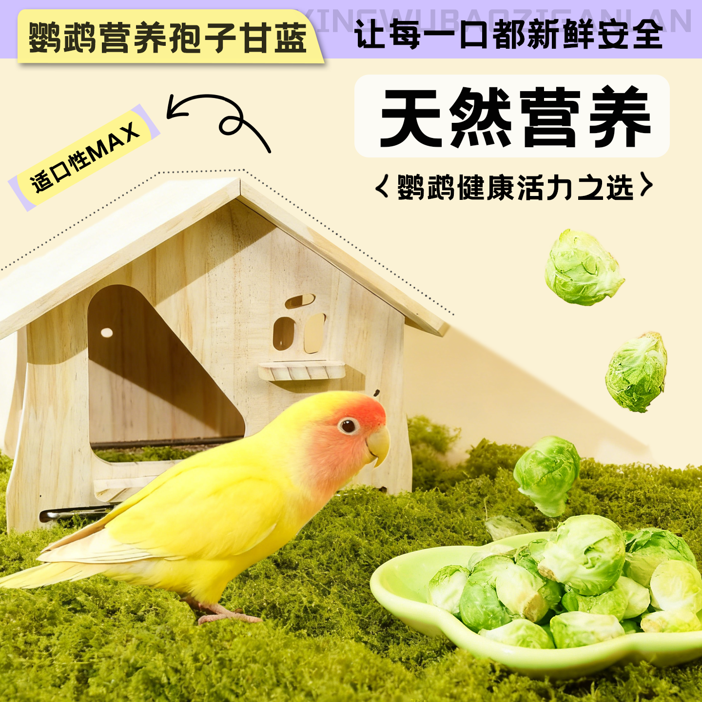 鹦鹉孢子甘蓝冻干锁鲜天然零添加高营养高适口虎皮玄凤小太阳鸟粮,宠物/宠物食品及用品,鸟零食,淘宝优惠券,粉丝福利购,淘宝优惠卷