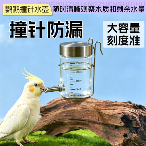 鹦鹉撞针喂水器防漏防撒虎皮牡丹小太阳大容量静音不漏水喂水壶