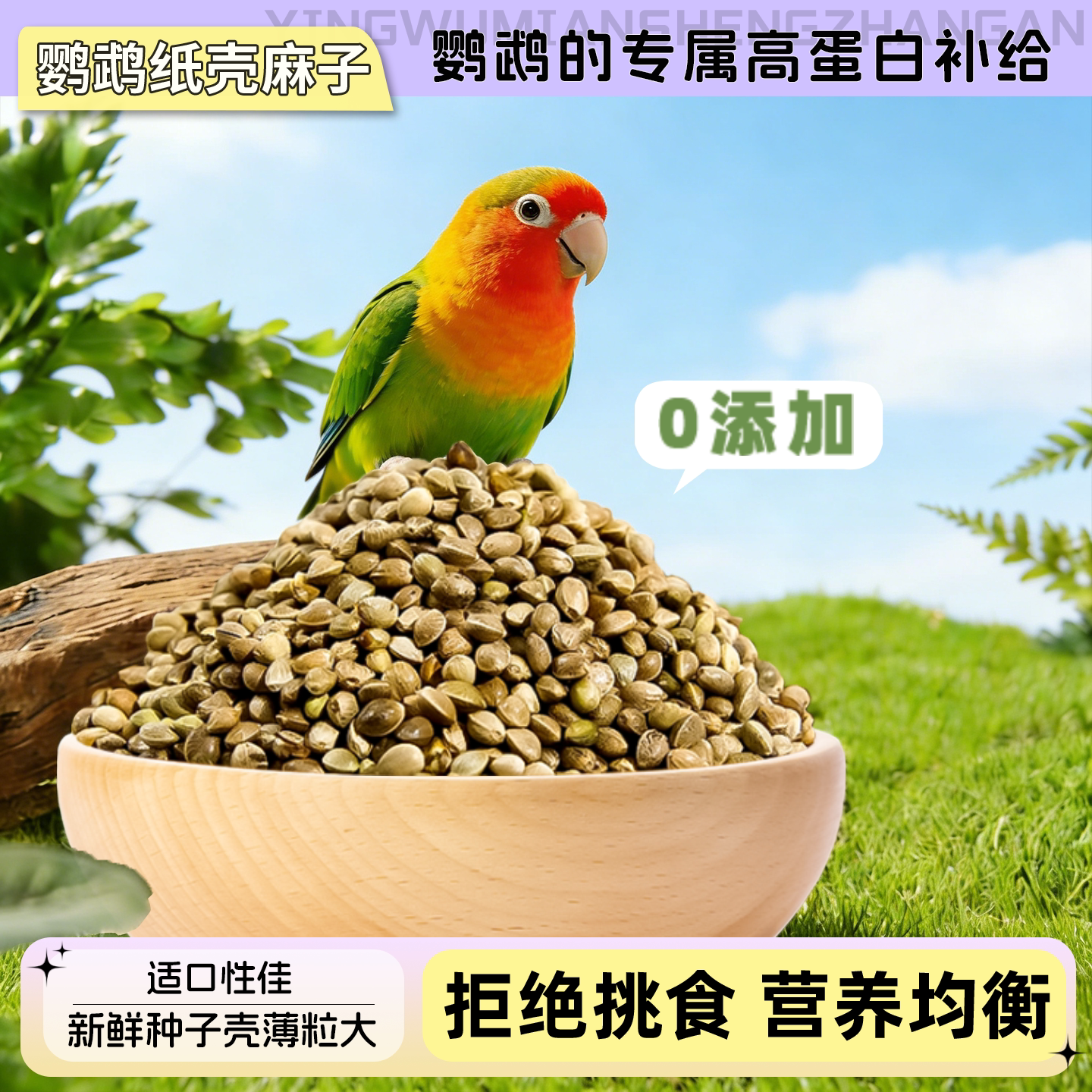 鹦鹉饲料纸壳麻子火麻子鸟粮食玄凤专用小奖励零食纸皮火麻籽颗粒