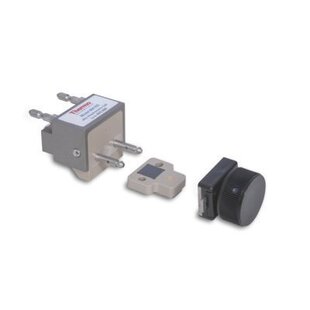 赛默飞DIONEX垫片金电极及垫片套装 包现货 6个