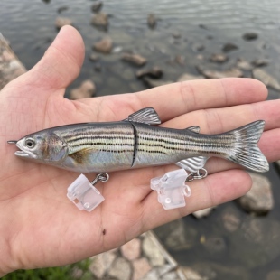 实拍 仿生鱼纹镭射S游姿2节鳟鱼路亚假饵淡水海钓饵硬饵多节鱼饵