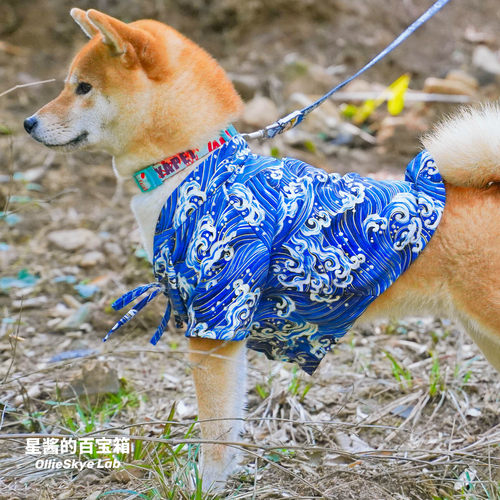 狗狗衣服和服价格 狗狗衣服和服图片 星期三