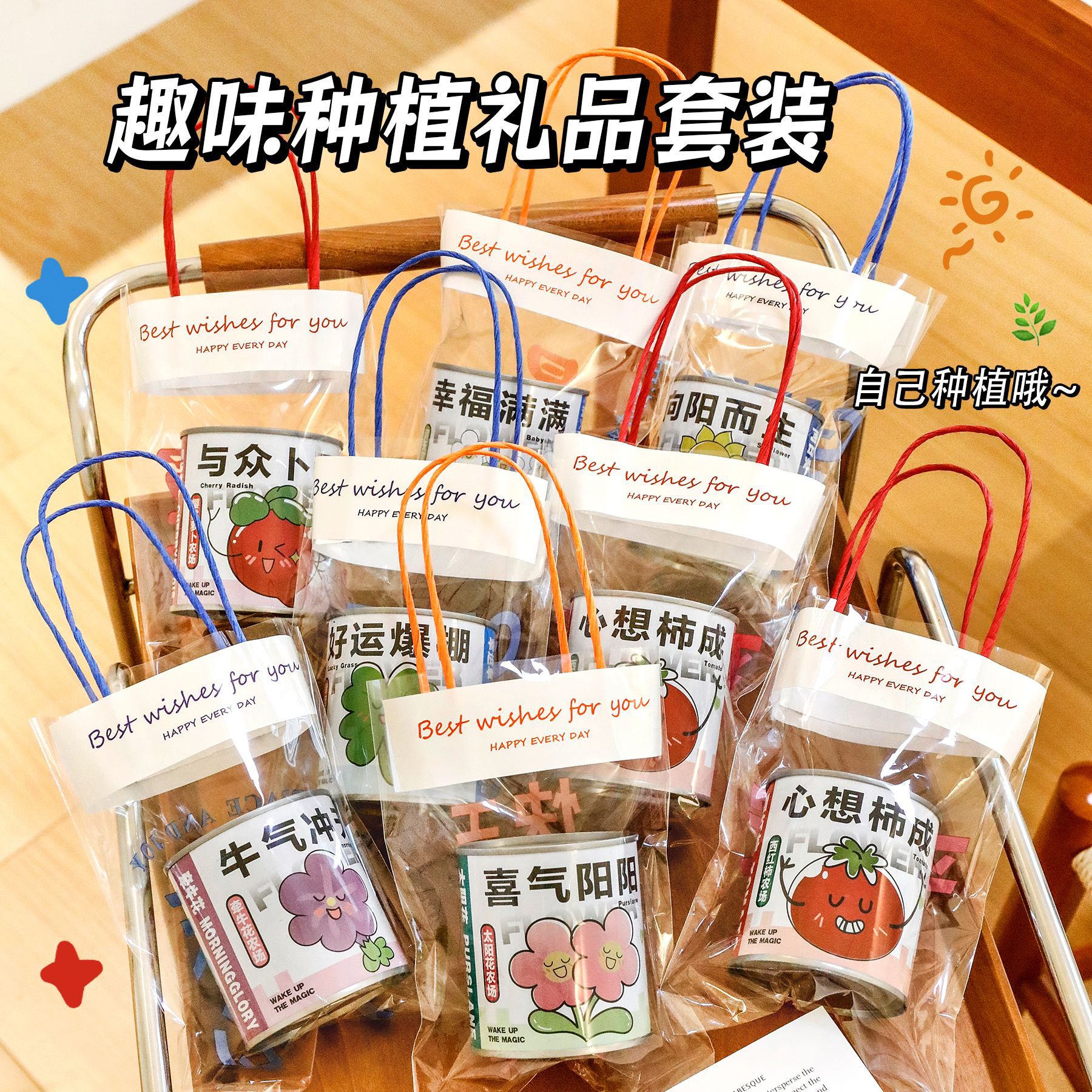 DIY种植植物易拉罐学生奖励小礼品伴手礼儿童活动奖品幼儿园礼物