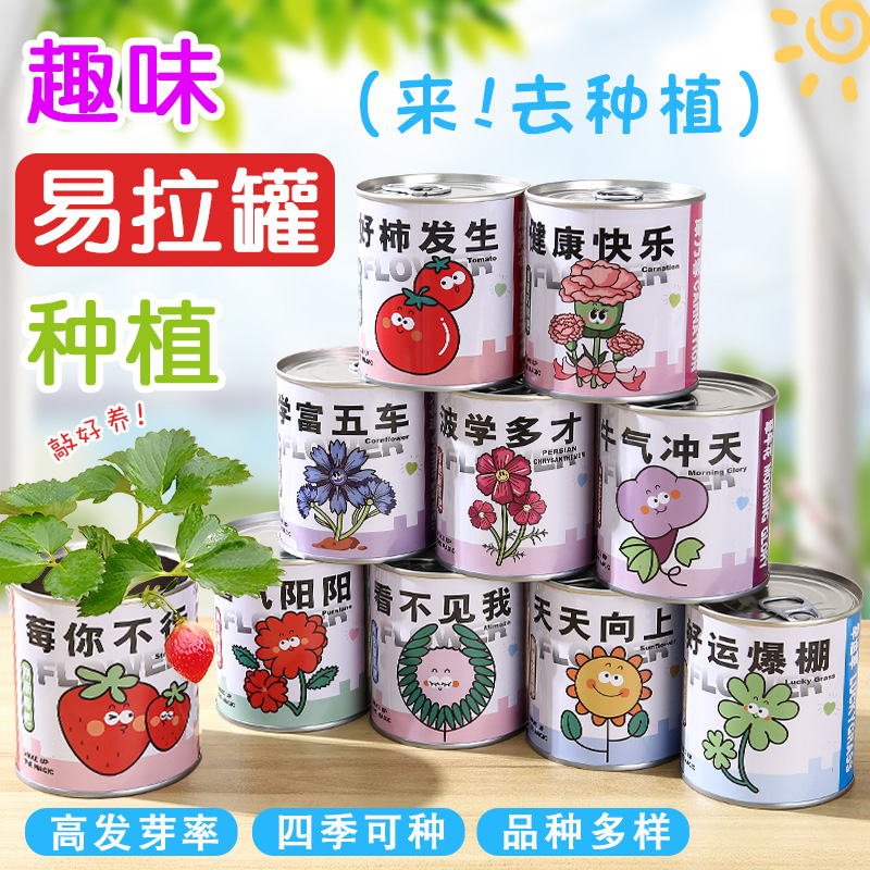 儿童种植罐头小盆栽学生奖品奖励桌面好养种子趣味绿植开学季礼物
