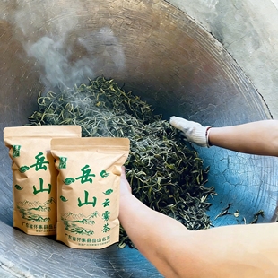 广东怀集茶叶2026岳山云雾茶手工炒茶浓香型手工清香散装绿茶