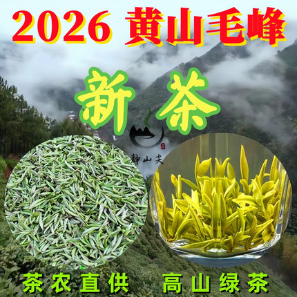 2026新茶黄山毛峰 明前绿茶叶特级雪芽250克 高山群体土种头采茶