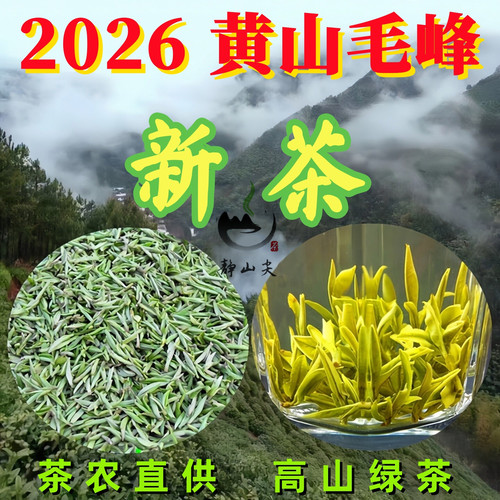 黄山毛峰明前头采土种特级绿茶
