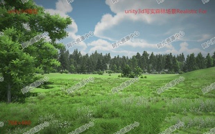 W06|unity3d写实森林场景_花草树木_U3D模型资源素材_树木场景