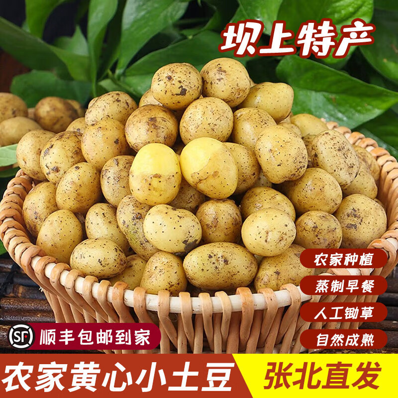 2026年农家自种现挖新鲜黄心土豆