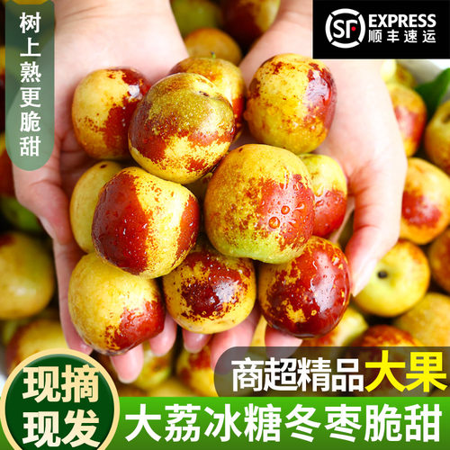 顺丰包邮大荔冬枣新鲜大果