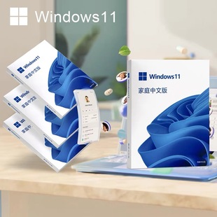 安装 系统u盘彩盒电脑重装 u盘 Windows11家庭版 正版