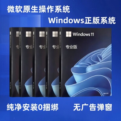 正版Win11专业版25H2系统电脑u盘windows10台式电脑装机u盘64位